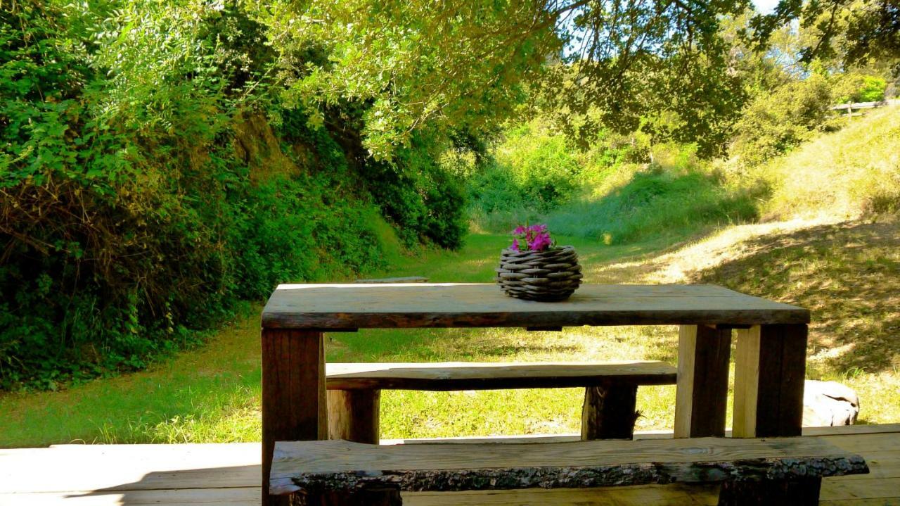 Domaine Sainte Colombe Hotel Luaran gambar